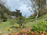 836004_2025_-_location_meublee_-_brossier_-_la_lande_aux_fees_-maison_-_bangor_-_jardin_1