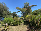 836005_2025_-_location_meublee_-_brossier_-_la_lande_aux_fees_-maison_-_bangor_-_jardin
