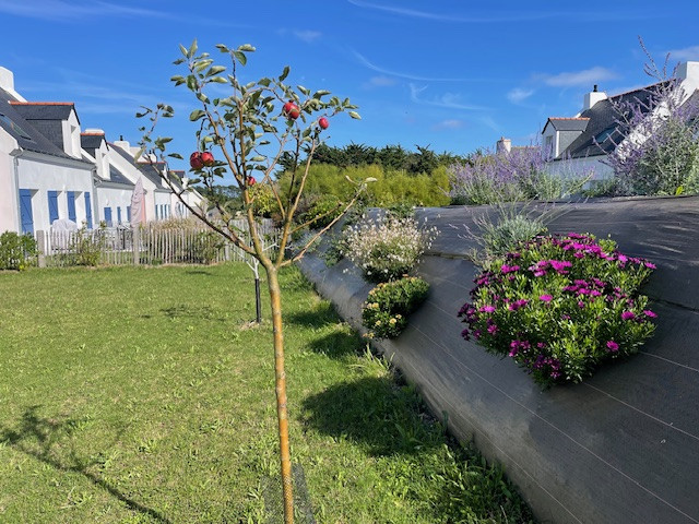 832672_2025-location_meublee-louvet_-_maison_mac_cat-maison-le_palais_-_vue_jardin_1