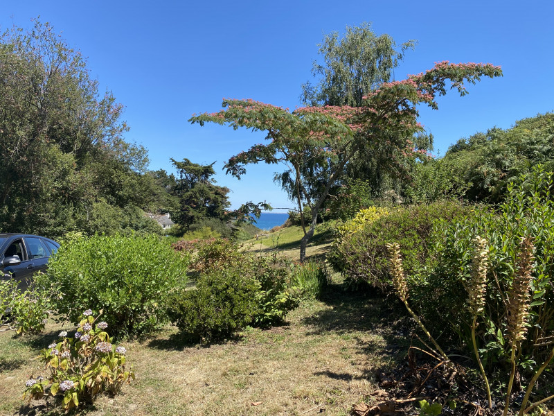 836005_2025_-_location_meublee_-_brossier_-_la_lande_aux_fees_-maison_-_bangor_-_jardin