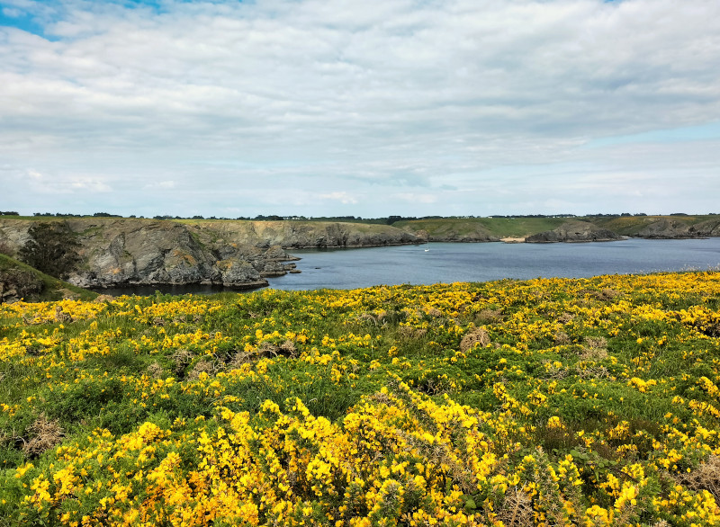 857313_2026-nordet-sci_ker_rohen-meuble-bangor_1 857313_2026-nordet-sci_ker_rohen-meuble-bangor_1