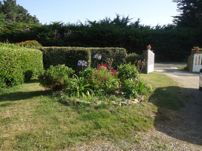 860998_valin-arlette-jardin-agapanthe