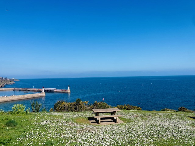 865516_table_pique_nique_a_400_m_a_pied