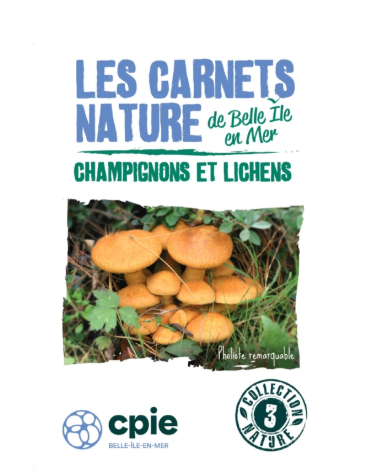 champignons-et-lichens-5109014