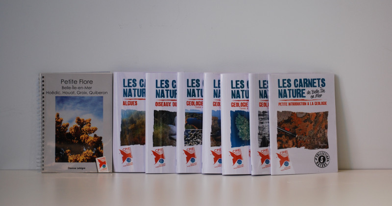 livre-collection-cpie-5106184